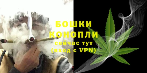 2c-b Горнозаводск