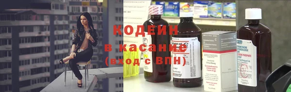 хмурый Няндома