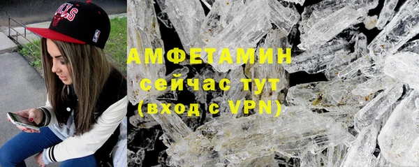 хмурый Няндома