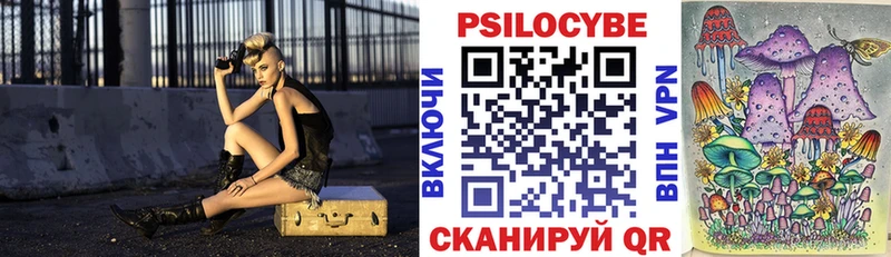 Псилоцибиновые грибы мицелий  Пересвет 
