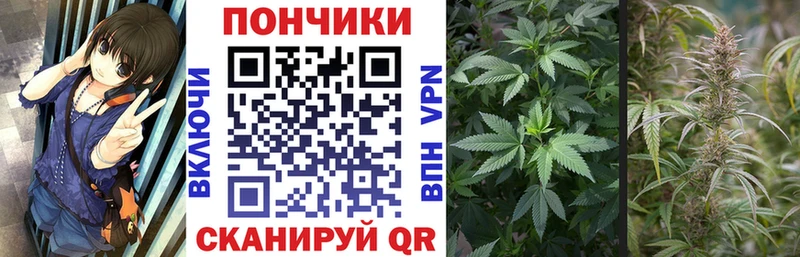 цены   MEGA ONION  Конопля семена  Пересвет 